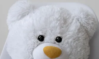 Peluş Oyuncak Seçerken ve Temizlerken Nelere Dikkat Edilmeli? Peluş Oyuncak Seçerken ve Temizlerken Nelere Dikkat Edilmeli?